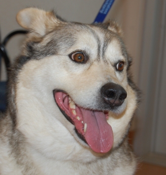 I am Angel, and I found a home!