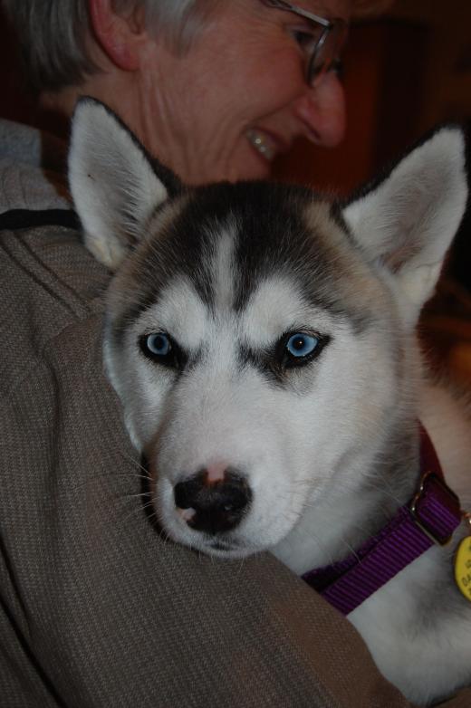 I am Annushky, and I found a home!
