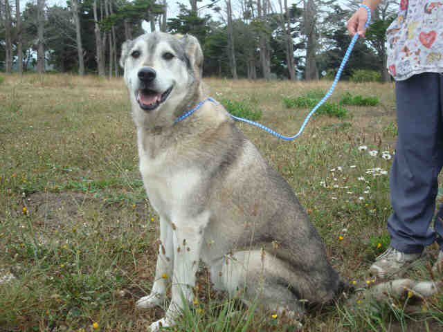 I am Billy, and I am looking for a home