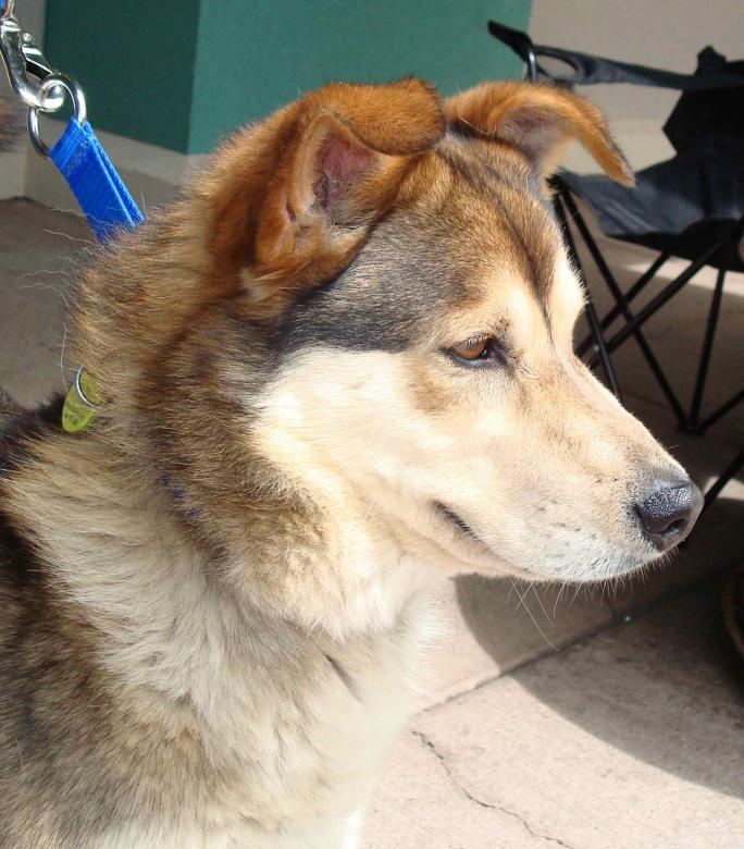 I am Jordon, and I found a home!