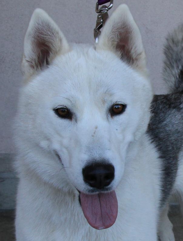 I am Miya, and I am looking for a home