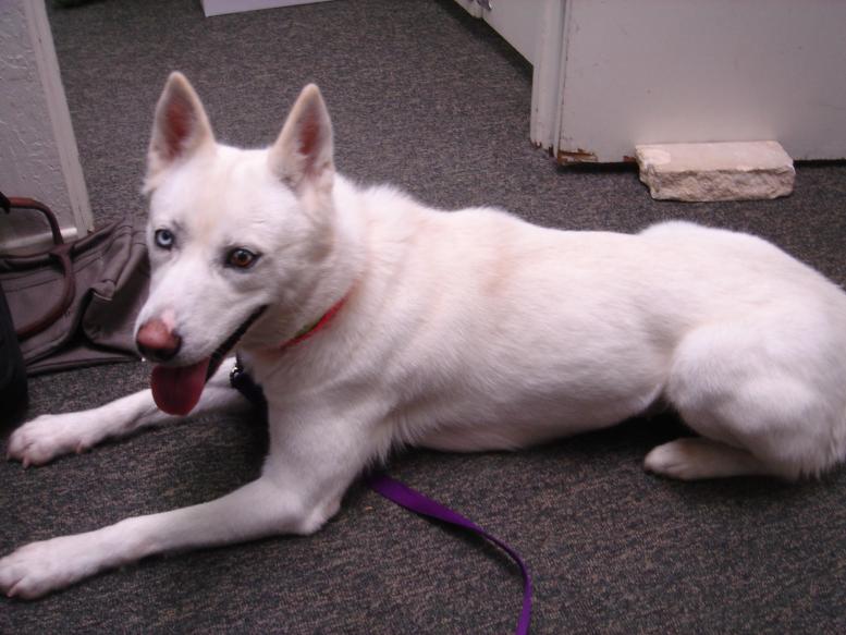 I am Tuni, and I found a home!