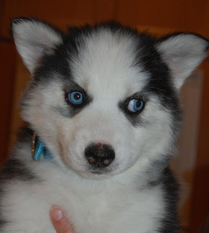 I am Tara, and I found a home!